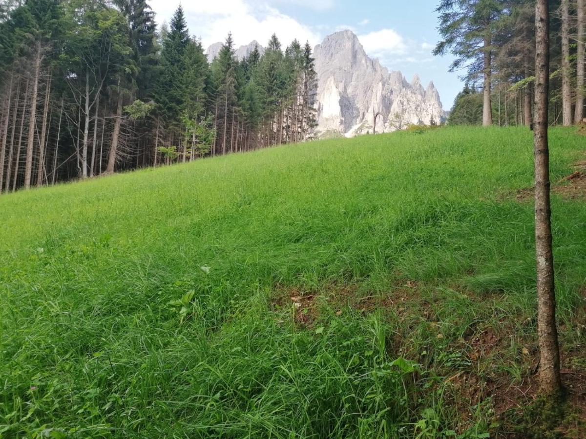 Baita Pra Petina Pale Di San Martino Siror Zewnętrze zdjęcie