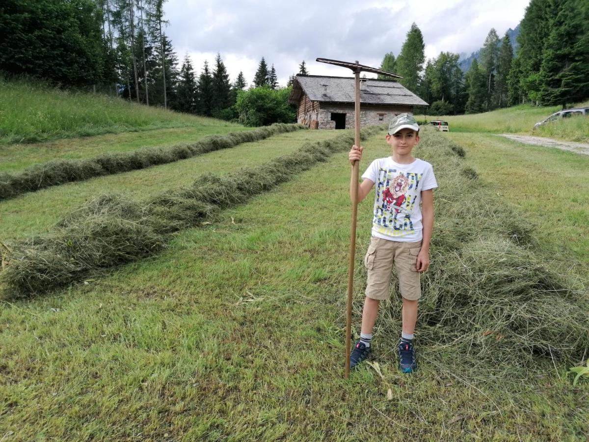Baita Pra Petina Pale Di San Martino Siror Zewnętrze zdjęcie